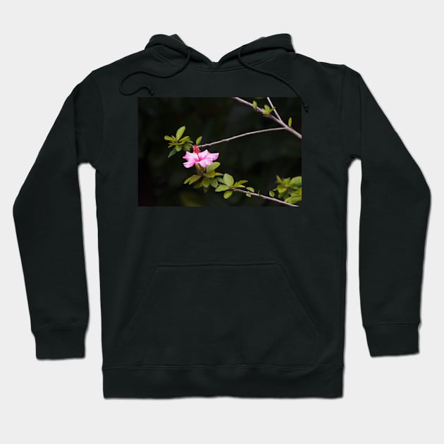 HIBISCUS. GULBENKIAN GARDEN Hoodie by terezadelpilar